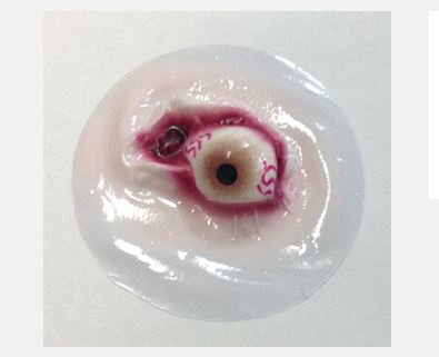 Nasco Healthcare - Eyeball Stick-on - 800-900
