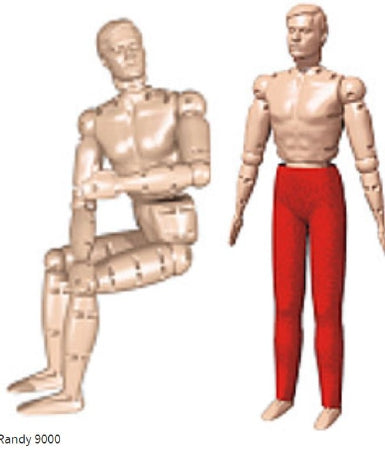 Simulaids Randy Manikin Male 68 lbs. Polyethylene - 149-9000