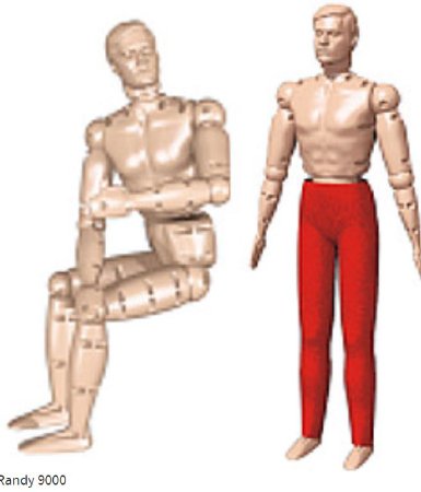 Nasco Healthcare - Randy Manikin Male 68 lbs. Polyethylene - 149-9000