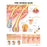 Wolters Kluwer Health Inc Chart Anatomical The Human Hair 20X26" Ea - 9781587791635