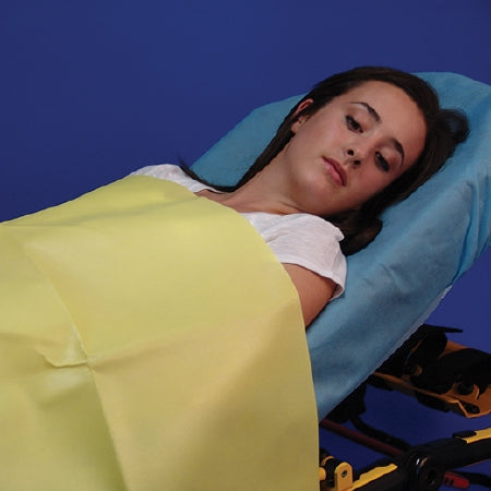 Taylor - Emergency Blanket 60 W X 90 L Inch Nonwoven Polypropylene Heavy Weight - 90-YEB6090