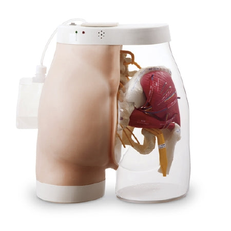 Nasco Intramuscular Injection Simulator - SB31026
