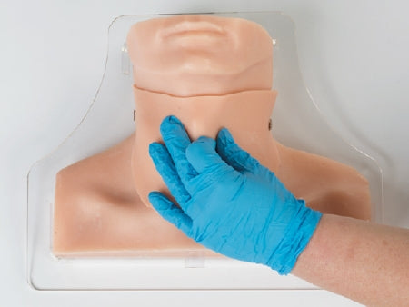 Nasco Life/Form Cricothyrotomy Simulator Adlut / Child - LF00994