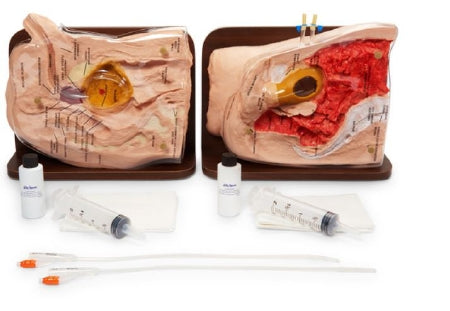 Nasco Life/Form Cath-Ed 1 and Cath-Ed 2 Simulators - LF01029