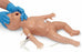Life/Form - Nursing Skills and ALS Simulator Life/form Newborn 7-1/2 lbs. - LF01400