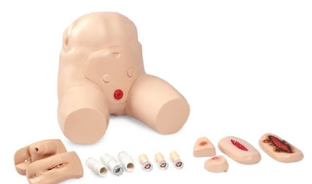 Nasco Home Care Training Simulator Full 28 lbs. - LG02098