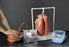 Nasco BioQuest Inflatable Lungs Kit - LS03765