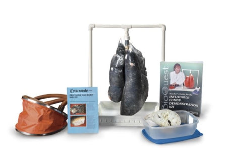 Nasco BioQuest Smokers Lungs Demonstration Kit 7-1/2 lbs. - LS03767