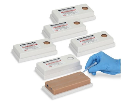 Nasco Two-Vein Model Venipuncture Training Aid - SB25039