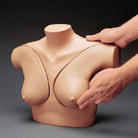 Nasco Breast Self-Exam Simulator - SB32869 M