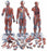 Nasco Healthcare - Muscular Figure - SB41425