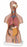Nasco Classic 3B Scientific Unisex Torso Torso Model 34 lbs. Plastic - SB41506