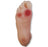 Nasco Health Edco Diabetic Foot Model Set - SB43091