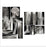 Nasco Roylco Broken Bones X-Rays - SB43367