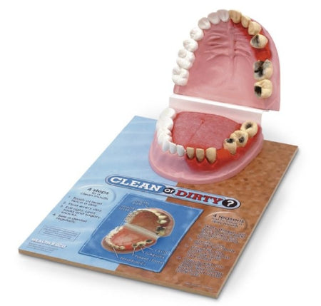 Nasco Health Edco Clean Mouth/Dirty Display - SB46342G