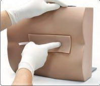 Gaumard - Lumbar Puncture Trainer 4.5 lbs. Imported - SB50854 L