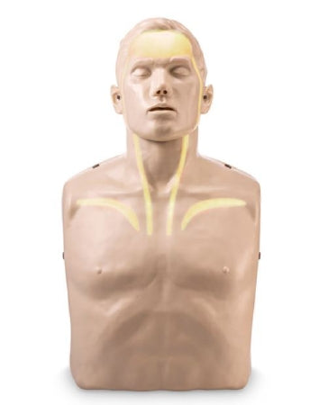 Nasco Brayden CPR Training Manikin Adult - SB50941