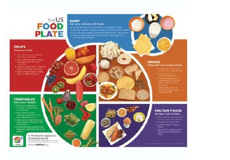 Nasco Learning ZoneXpress Food Plate Poster Laminated - WA26735HR