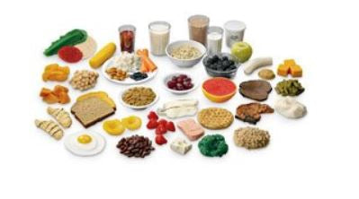 Nasco Life/Form MyPlate Food Kit - WA29168HR