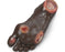Nasco Life/Form Elderly Pressure Ulcer Foot - LF00944