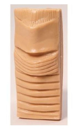 Nasco Life/Form Adult Cricothyrotomy Cartilage - LF01134