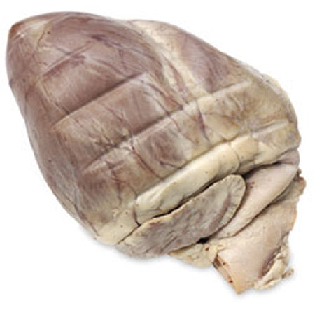 Nasco NASCO-Guard Preserved Specimens Preserved Pig Heart 4 to 5 Inch in Size, 4 Chambers - LS02530M