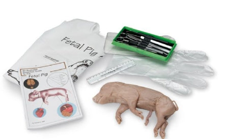 Nasco Nasco "Try It" Dissection Kit Fetal 1.25 - LS03815M