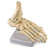 Nasco United Scientific Supply Foot Model - SB49824M