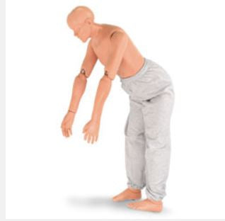 Simulaids Flexible Rescue Randy Male 5 Foot 5 Inch 61 lbs. - 100-2710