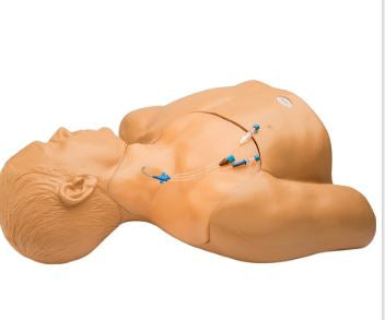 Simulaids Gen II Central Line Training Model - BPH660