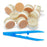 Nasco Healthcare - Bone Replacement - 101-413