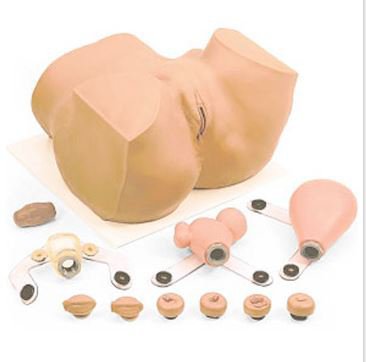 Nasco Healthcare - Eva GYN Manikin Female Vinyl - 160-1906