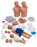 Simulaids - Instructor’s Professional Starter Package - Light - 100-2152