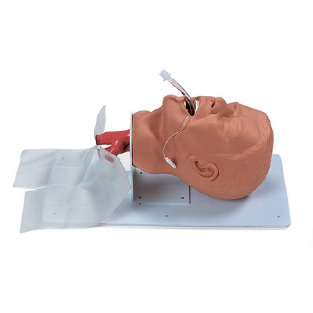 Nasco Healthcare - Adult Airway Trainer 10 lbs. - 101-500