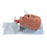 Nasco Healthcare - Adult Airway Trainer 10 lbs. - 101-500