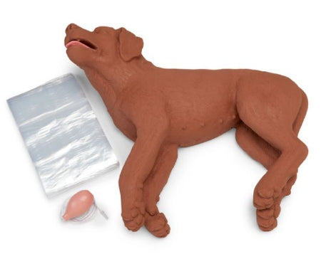 Simulaids Simulaids CPR Dog - 100-5000