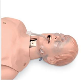Nasco Healthcare - Critical Airway Trainer 21 lbs. - 101-060