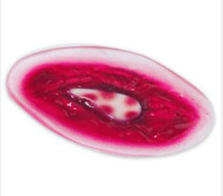 Simulaids Chest Wound - 800-832