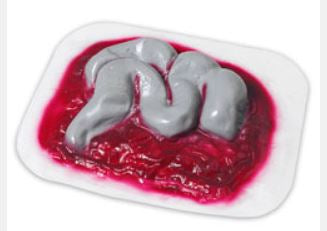 Nasco Healthcare - Intestines Stick-On - 800-902