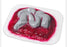Nasco Healthcare - Intestines Stick-On - 800-902
