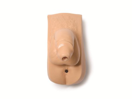 Laerdal Medical - Replacement Male Genitalia Adult - 325-03250