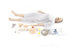 Laerdal Medical Nursing Anne Male Adult - 325-20050B