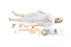 Nursing Anne - Training Manikin Brown Skin Tone Male Adult - 325-20050B