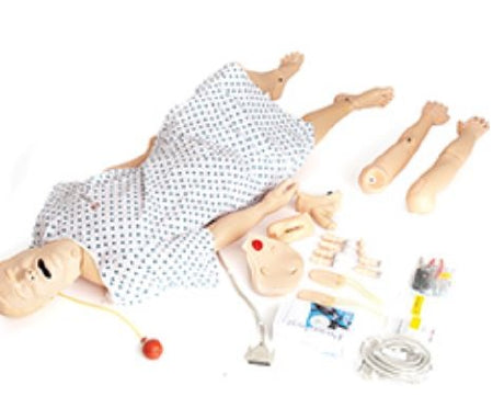 Laerdal Medical Nursing Anne Adult - 325-20050T