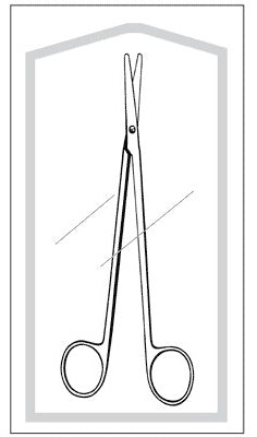Dissecting Scissors