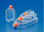 Corning - Flask Rectangular / Tissue Culture Polystyrene / Polyethylene Closure - 29560-959