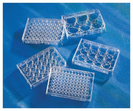 Fisher Scientific Costar Multiwell Cell Culture Plate Polystyrene - 9761146