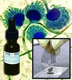 MycoPerm BLUE - Mycology Stain 12 mL - 753