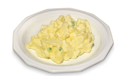 Nasco Life/Form Potato Salad Food Replica - WA27317R