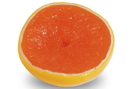 Nasco Life/Form Gratefruit Food Replica - W06635R